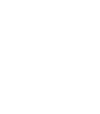 FLVR Logo